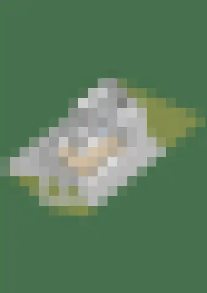 Hooijengastrjitte 6 Burgum thumbnail 54