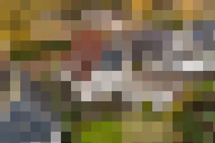 Hooijengastrjitte 6 Burgum thumbnail 6