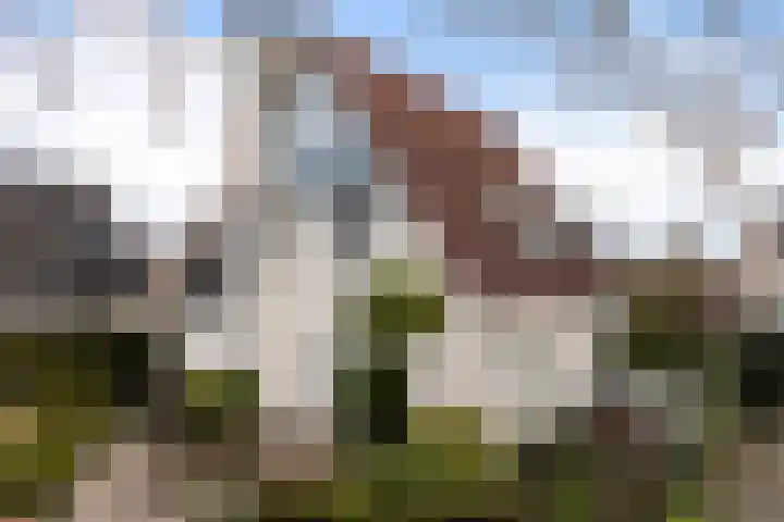 Hooijengastrjitte 6 Burgum thumbnail 7