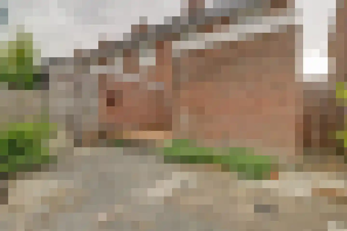 Hooijerdijk 18 Bodegraven thumbnail 39