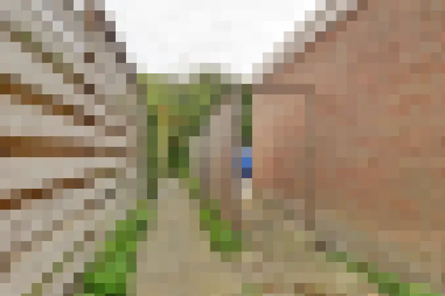 Hooijerdijk 18 Bodegraven thumbnail 40