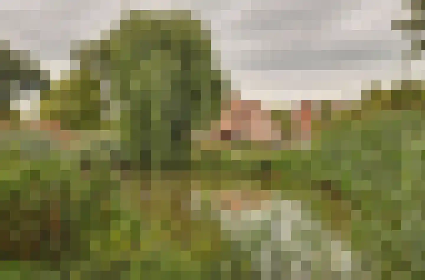 Hooijerdijk 18 Bodegraven thumbnail 43