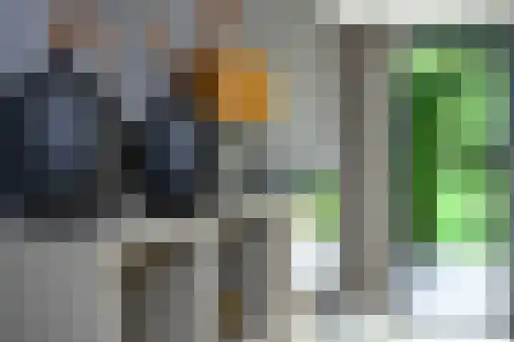 Hooijerinksstraat 22 Delden thumbnail 20