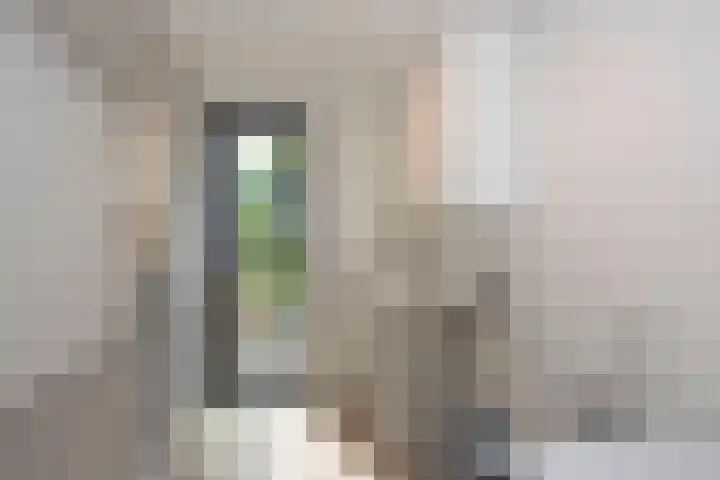 Hooijerinksstraat 22 Delden thumbnail 28