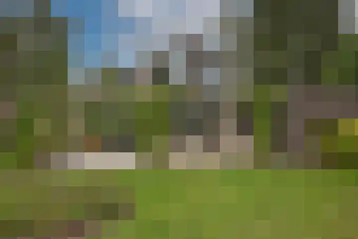 Hooijerinksstraat 22 Delden thumbnail 51
