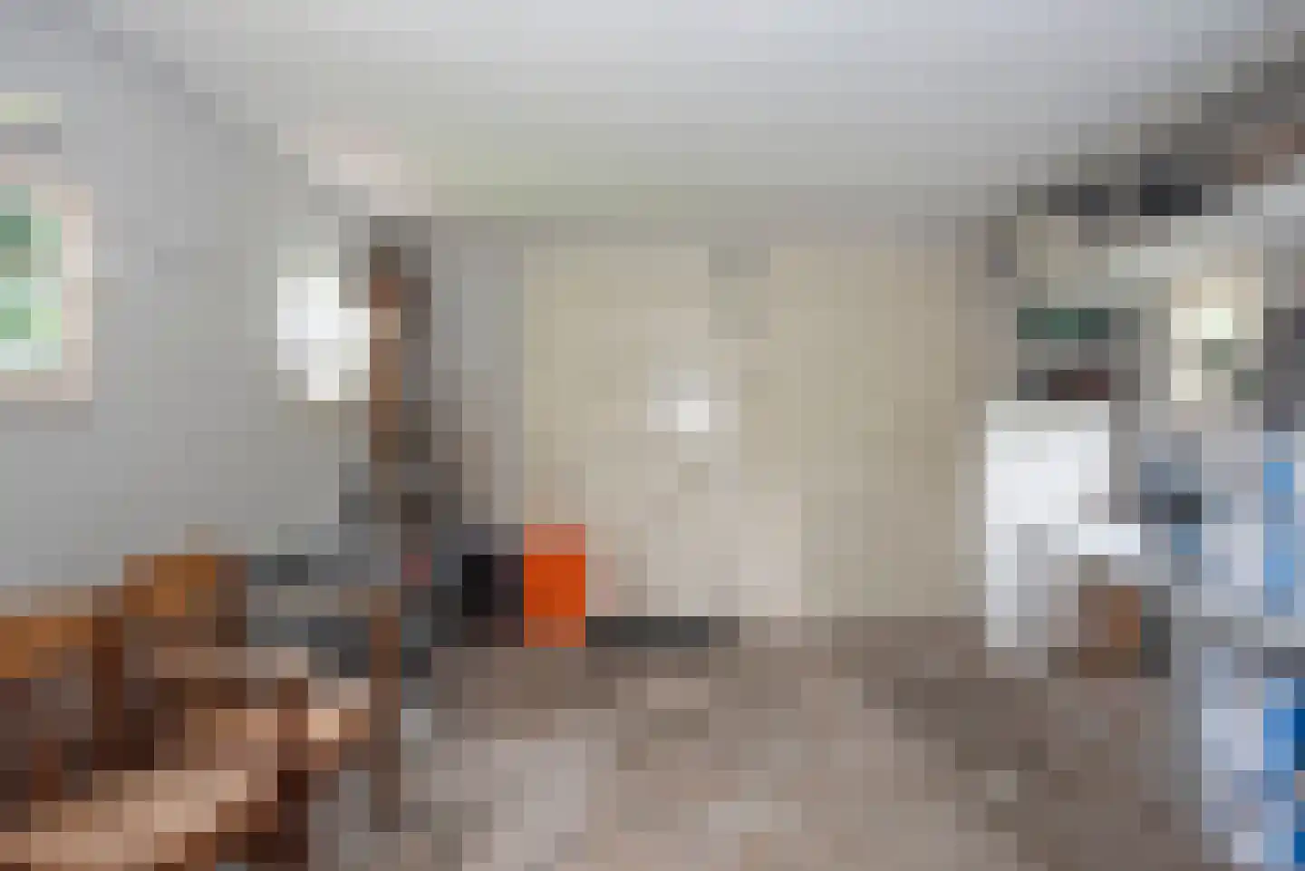 Hooijerinksstraat 8 Delden thumbnail 32