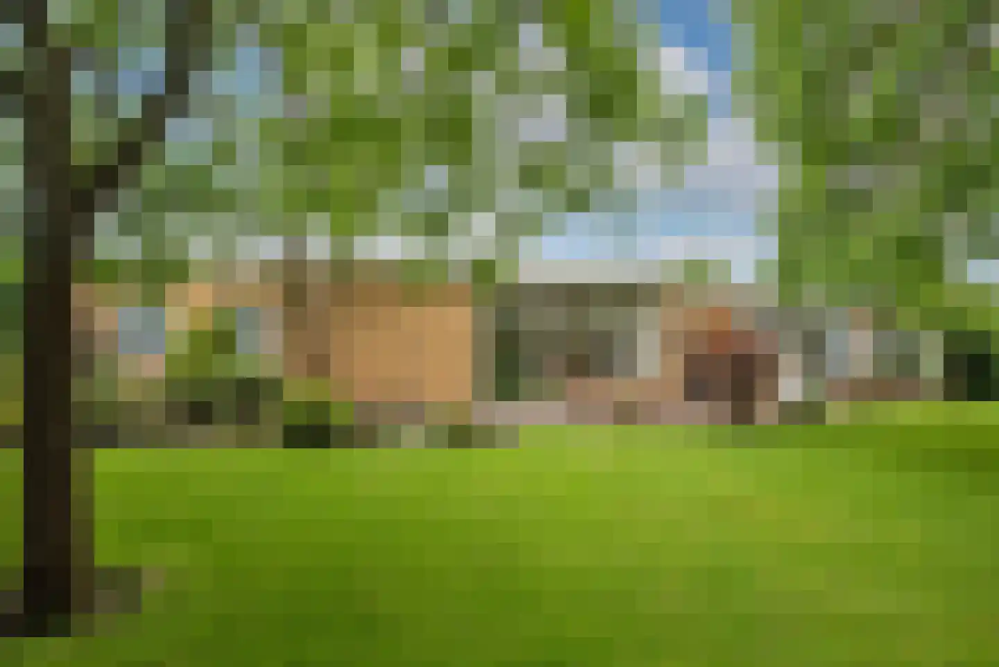 Hooijerinksstraat 8 Delden thumbnail 35
