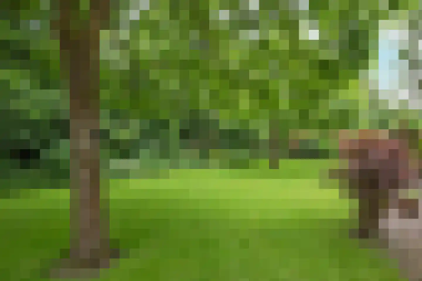 Hooijerinksstraat 8 Delden thumbnail 38