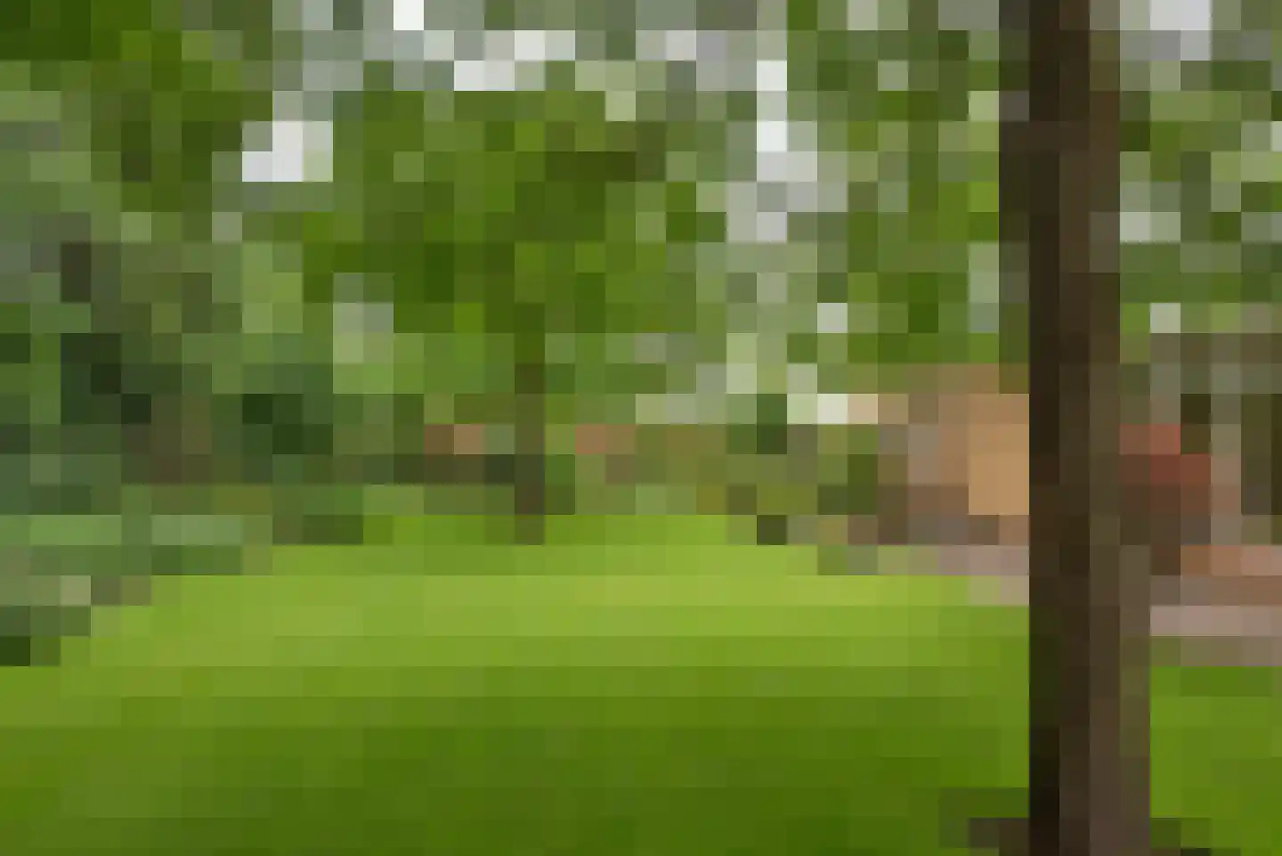 Hooijerinksstraat 8 Delden thumbnail 4