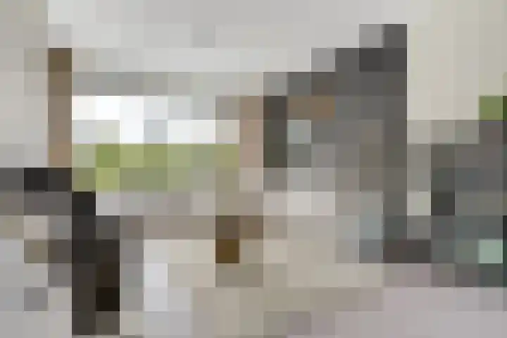 Hooijerinksstraat 9 Delden thumbnail 12