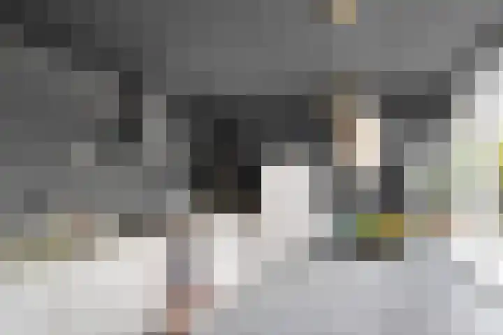 Hooijerinksstraat 9 Delden thumbnail 22