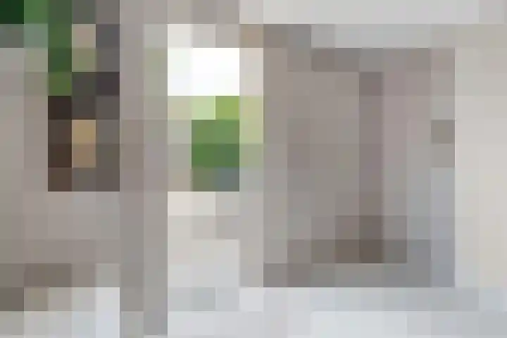 Hooijerinksstraat 9 Delden thumbnail 27
