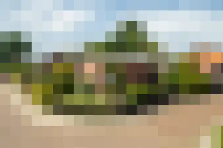 Hooijerinksstraat 9 Delden thumbnail 48