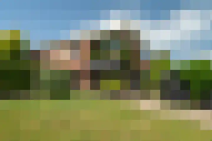 Hooijerinksstraat 9 Delden thumbnail 5