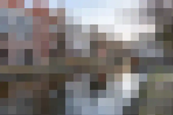 Hooikade 10 A Den Haag thumbnail 18