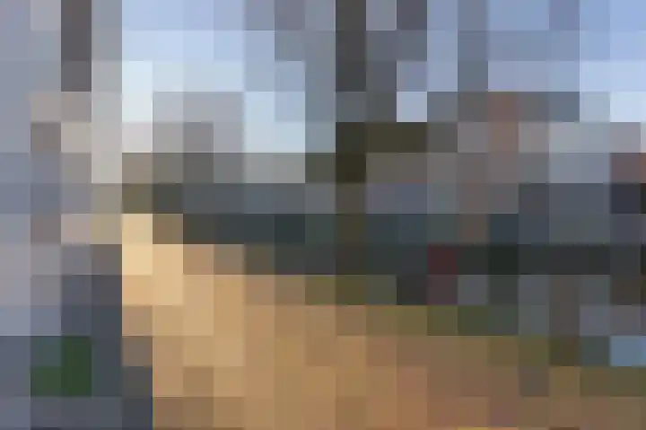 Hooikade 10 A Den Haag thumbnail 21