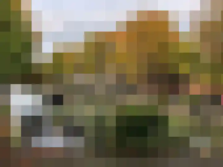 Hooikade 10 A Den Haag thumbnail 23