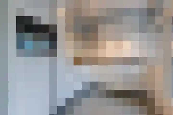 Hooikade 10 A Den Haag thumbnail 6