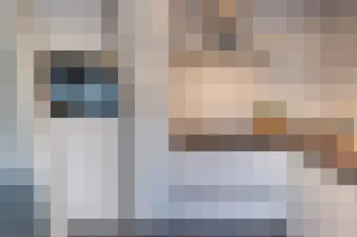 Hooikade 10 A Den Haag thumbnail 7