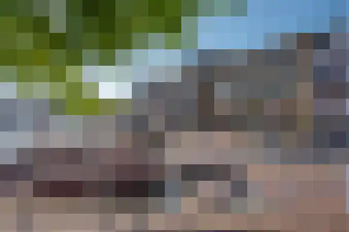 Hooikade 23 Delft thumbnail 34