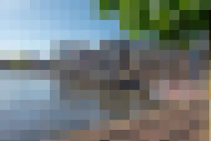 Hooikade 23 Delft thumbnail 35