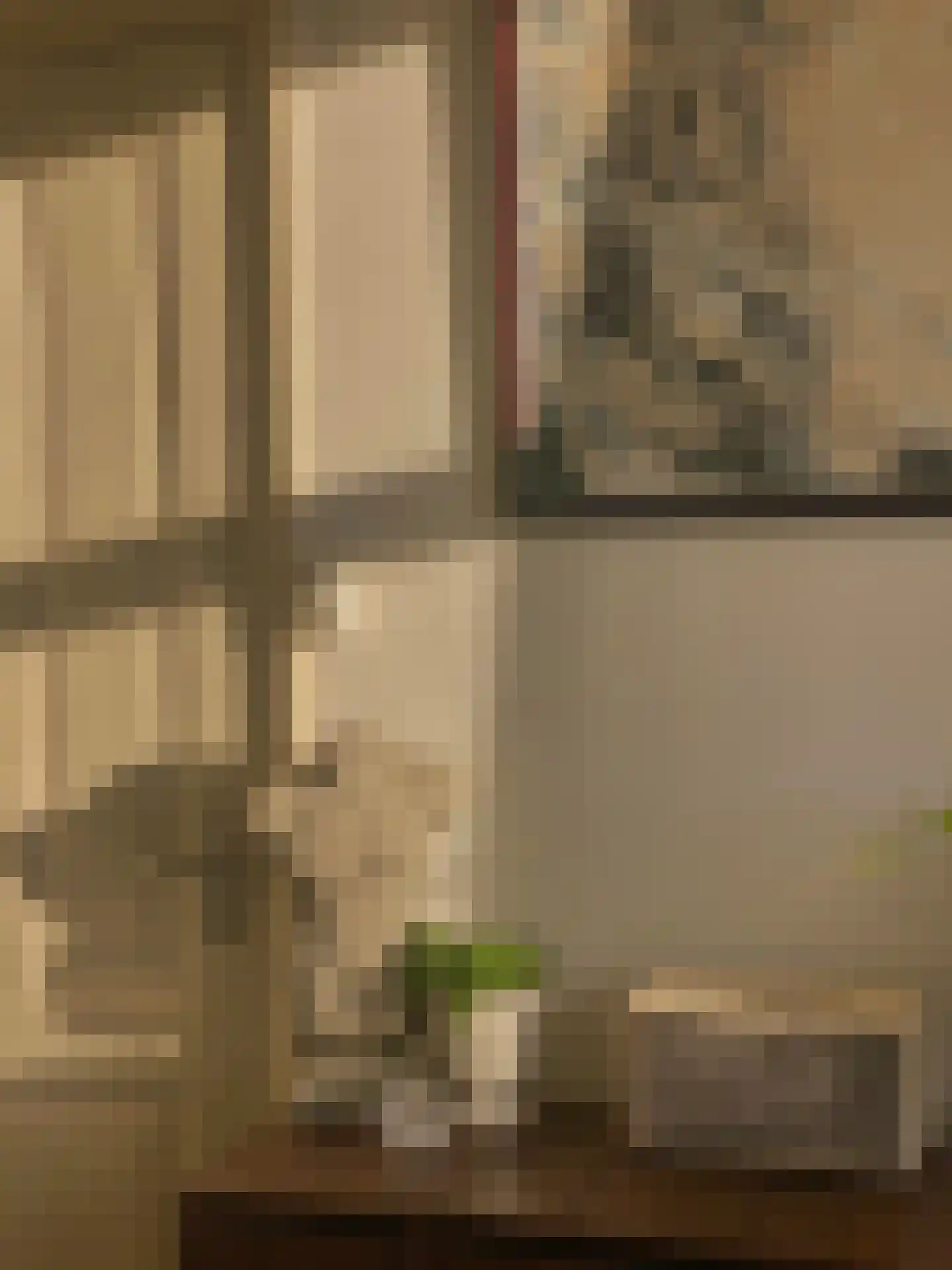 Hooikade 29 Delft thumbnail 19