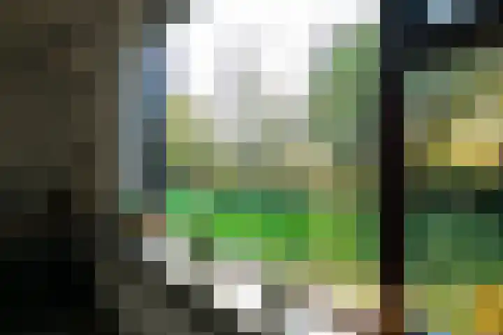 Hooikamp 108 Leidschendam thumbnail 13