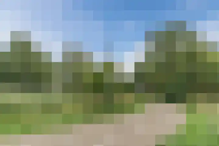 Hooikamp 108 Leidschendam thumbnail 14