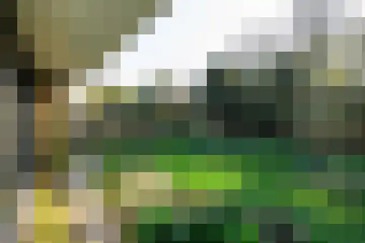 Hooikamp 108 Leidschendam thumbnail 15