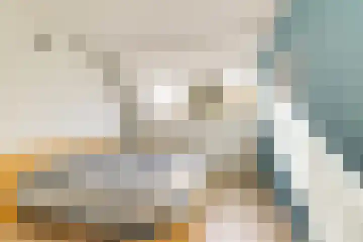 Hooikamp 108 Leidschendam thumbnail 24