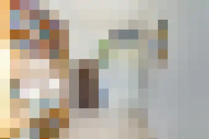 Hooikamp 108 Leidschendam thumbnail 30