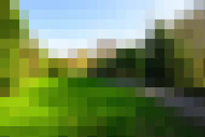 Hooikamp 108 Leidschendam thumbnail 40