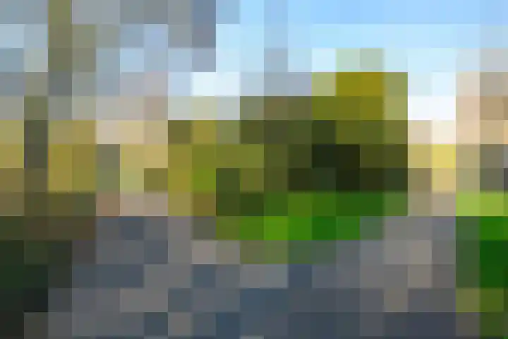 Hooikamp 108 Leidschendam thumbnail 41