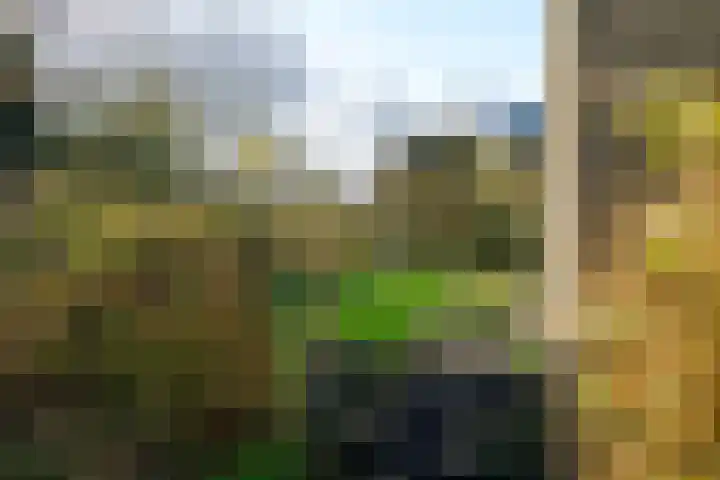 Hooikamp 108 Leidschendam thumbnail 42