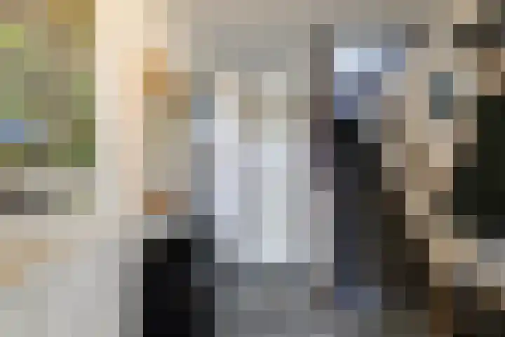 Hooikamp 108 Leidschendam thumbnail 7