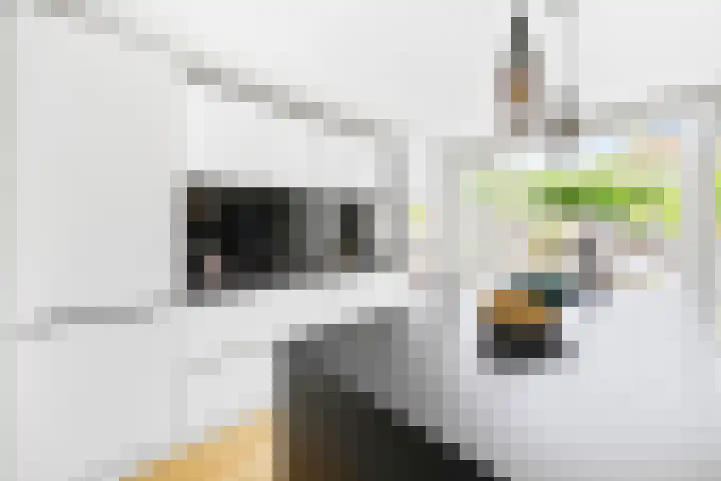 Hooikamp 124 Leidschendam thumbnail 10