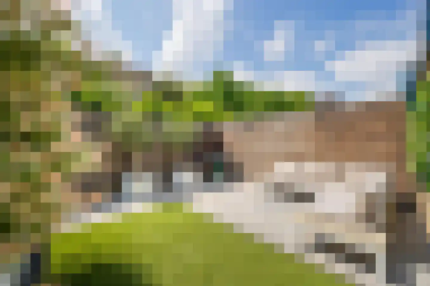 Hooikamp 124 Leidschendam thumbnail 16