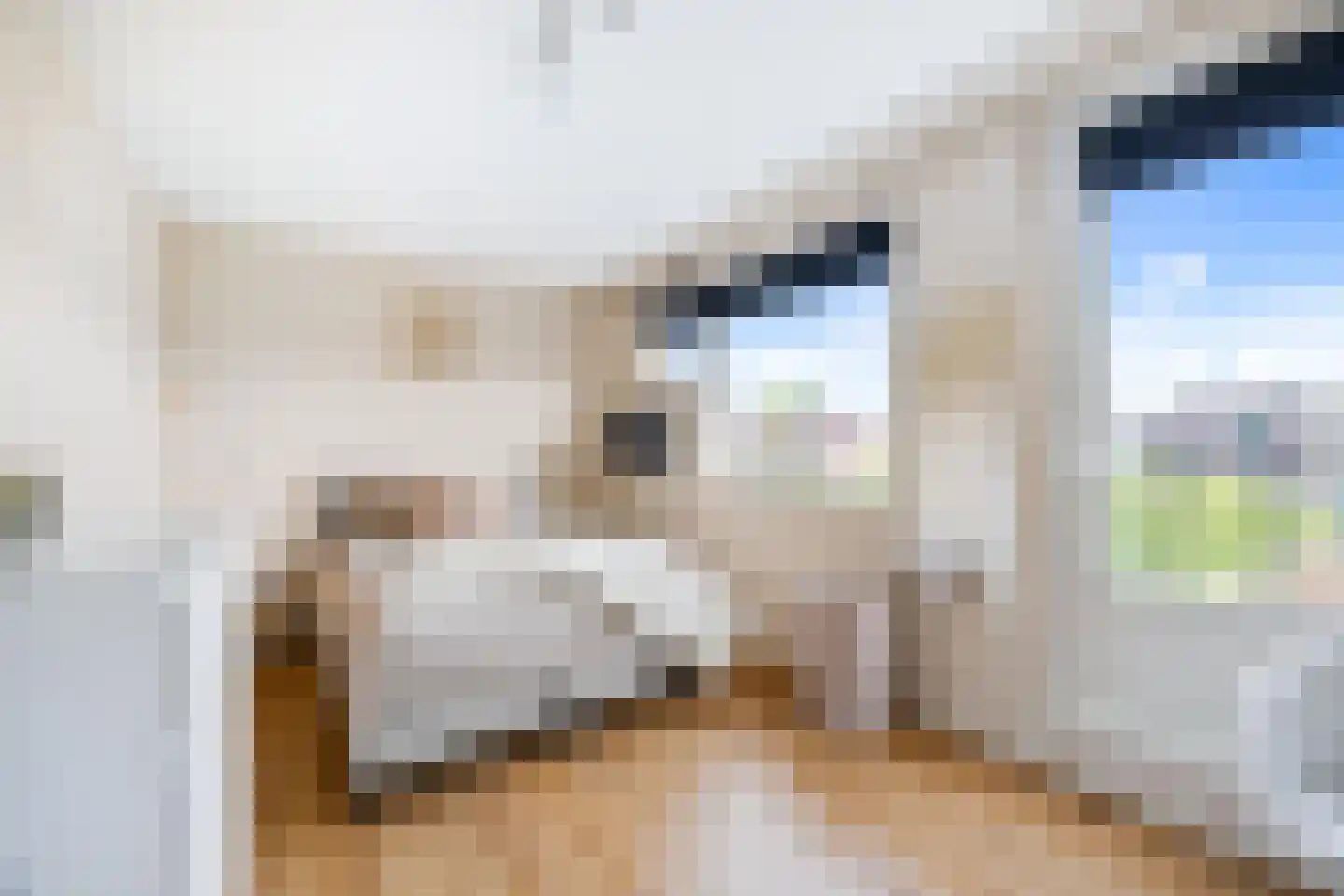 Hooikamp 124 Leidschendam thumbnail 21