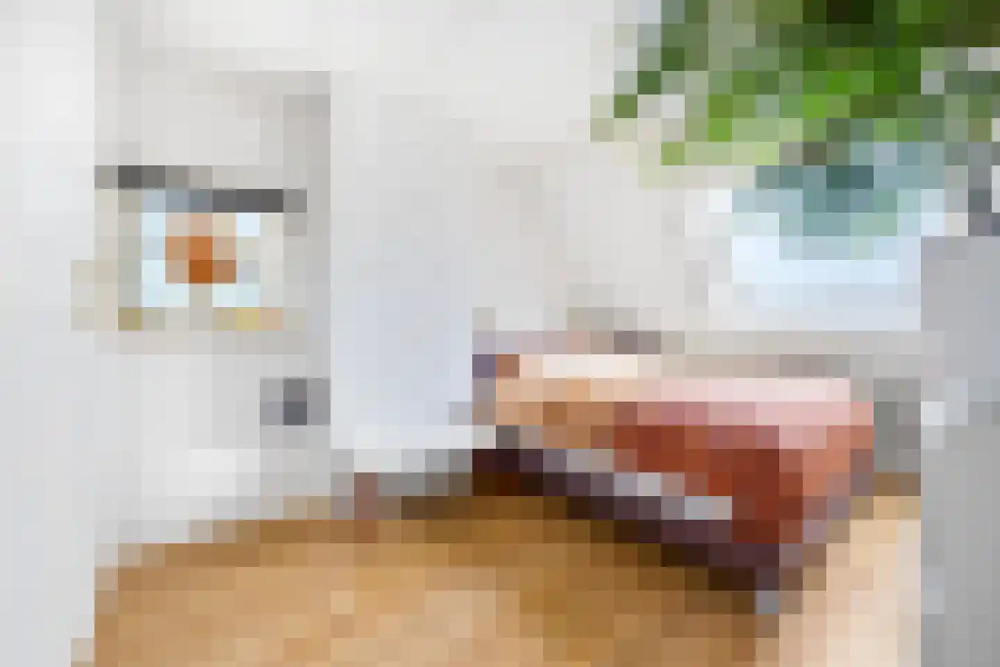 Hooikamp 124 Leidschendam thumbnail 30
