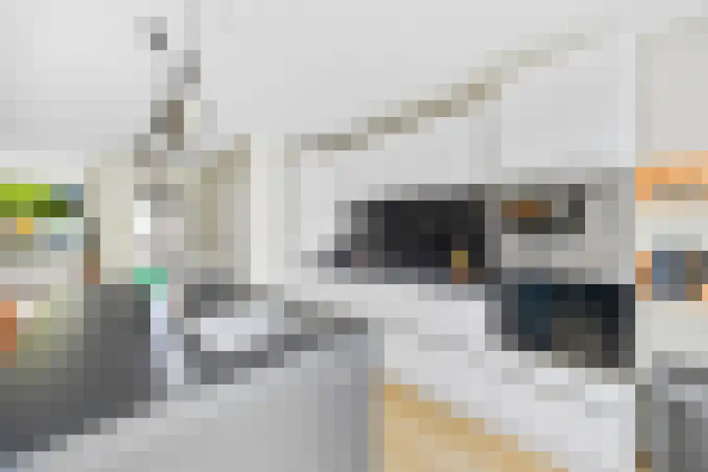 Hooikamp 124 Leidschendam thumbnail 8
