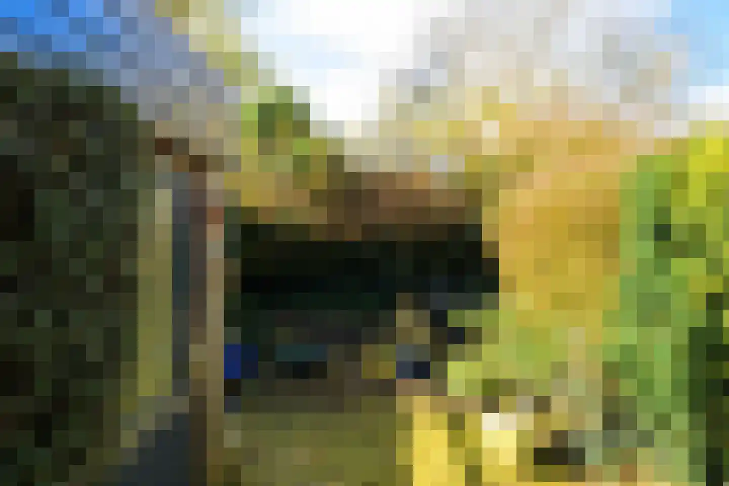 Hooikamp 134 Leidschendam thumbnail 11