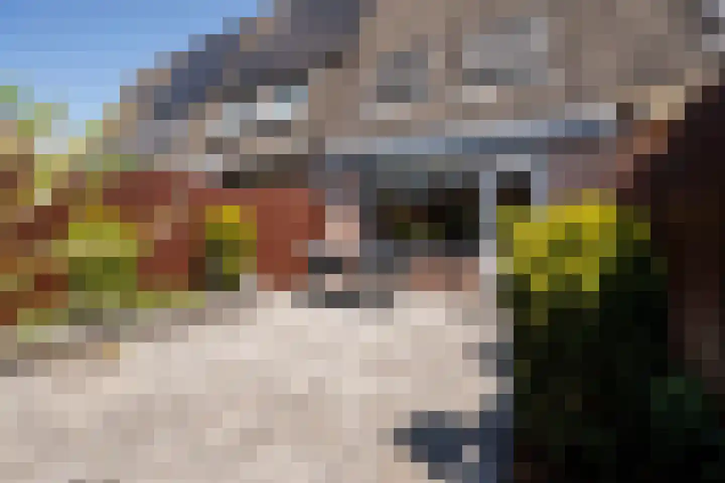Hooikamp 39 Leerdam thumbnail 18