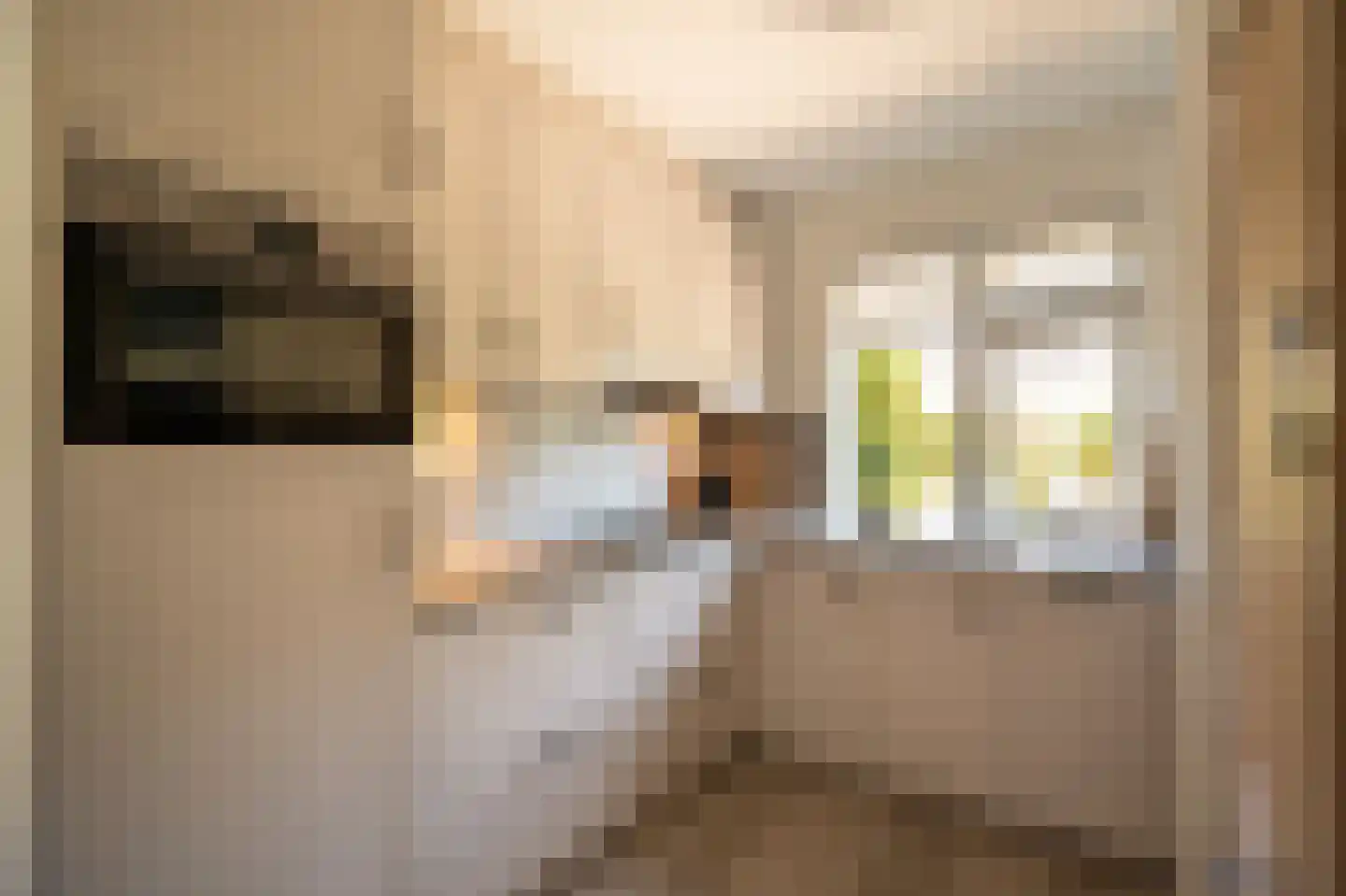 Hooikamp 39 Leerdam thumbnail 8