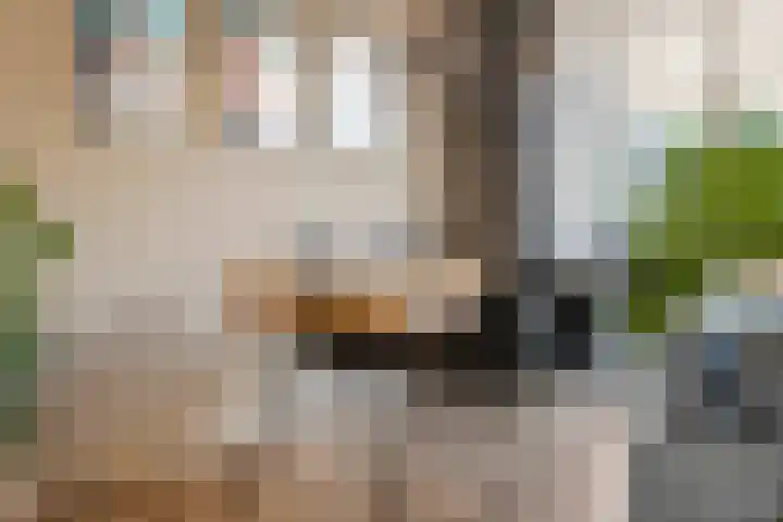 Hooikamp 52 Leerdam thumbnail 17