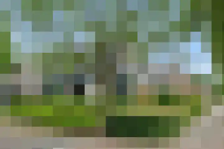 Hooikamp 52 Leerdam thumbnail 32