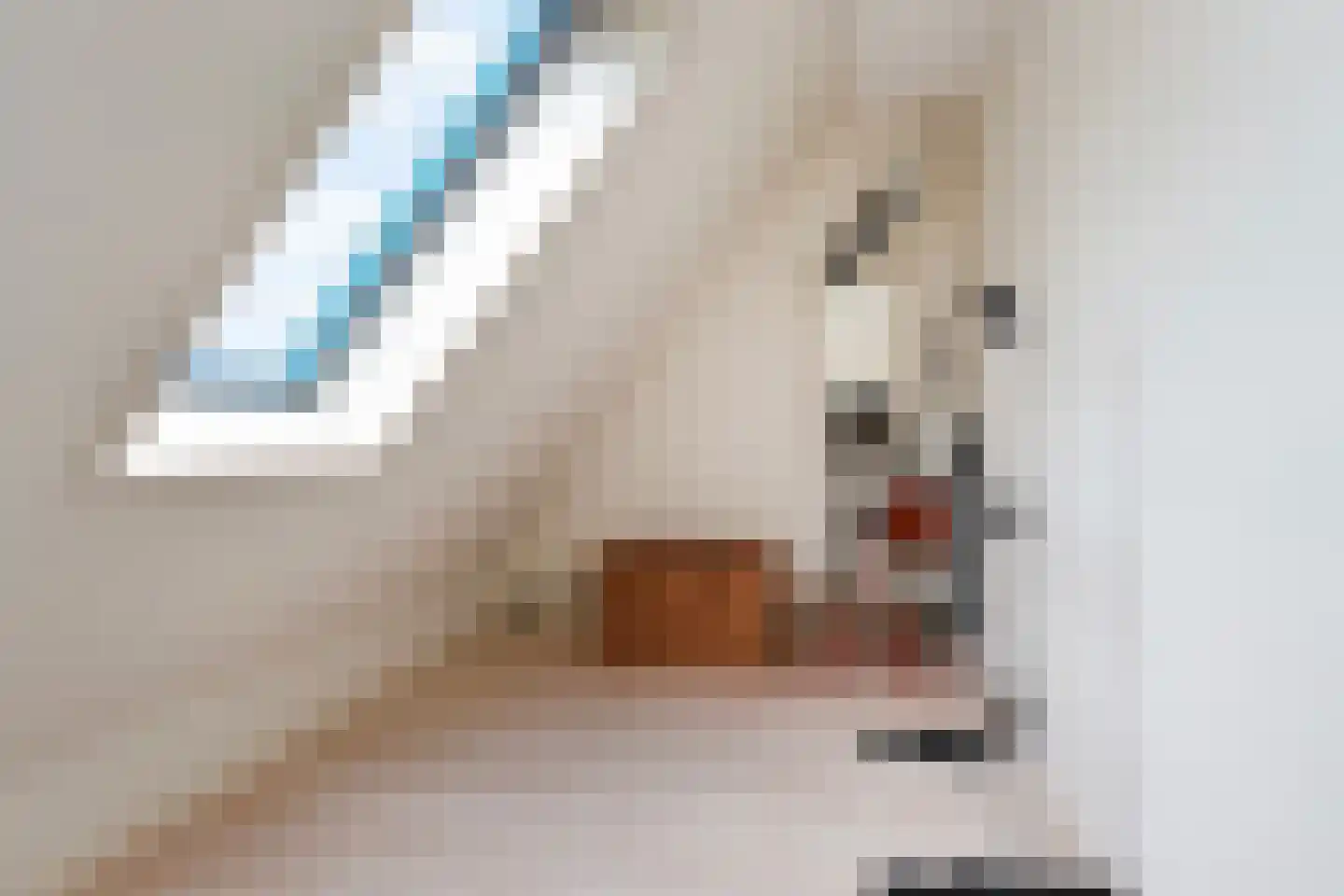 Hooikamp 58 Leidschendam thumbnail 30