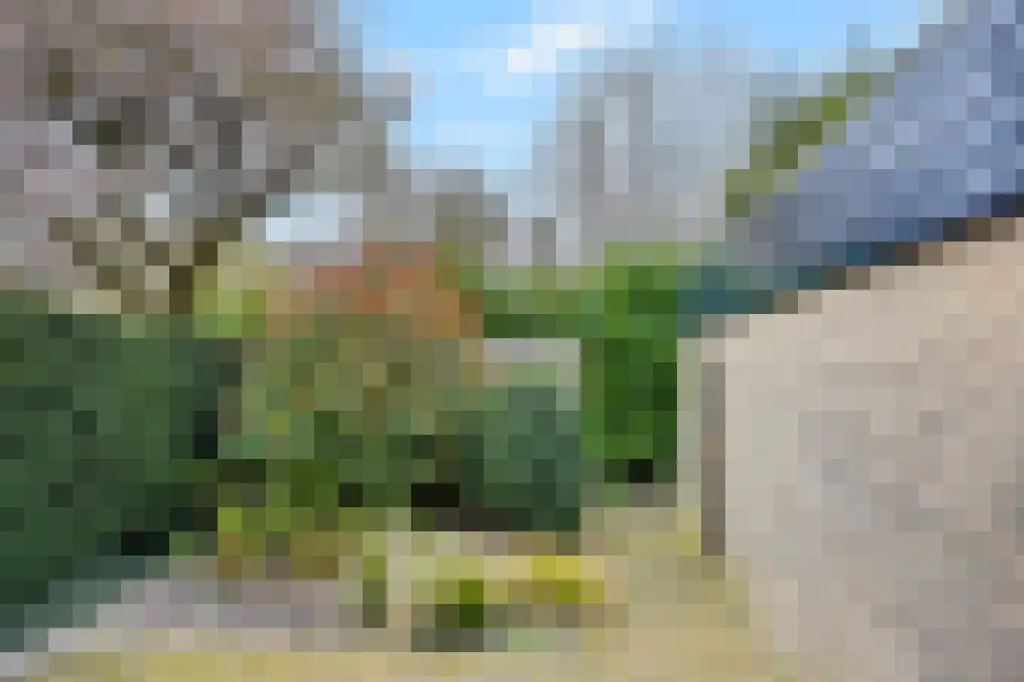 Hooikamp 58 Leidschendam thumbnail 38