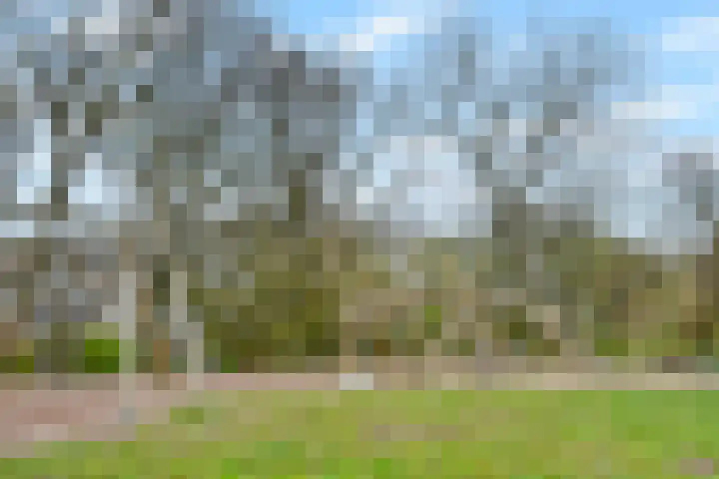 Hooikamp 58 Leidschendam thumbnail 44