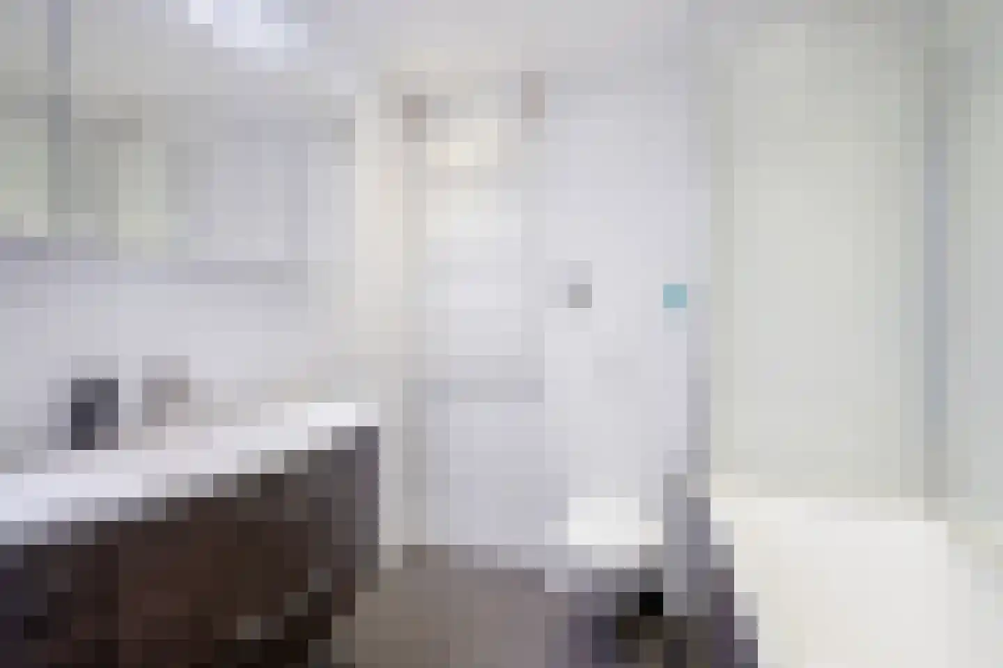 Hooikamp 62 Leidschendam thumbnail 32