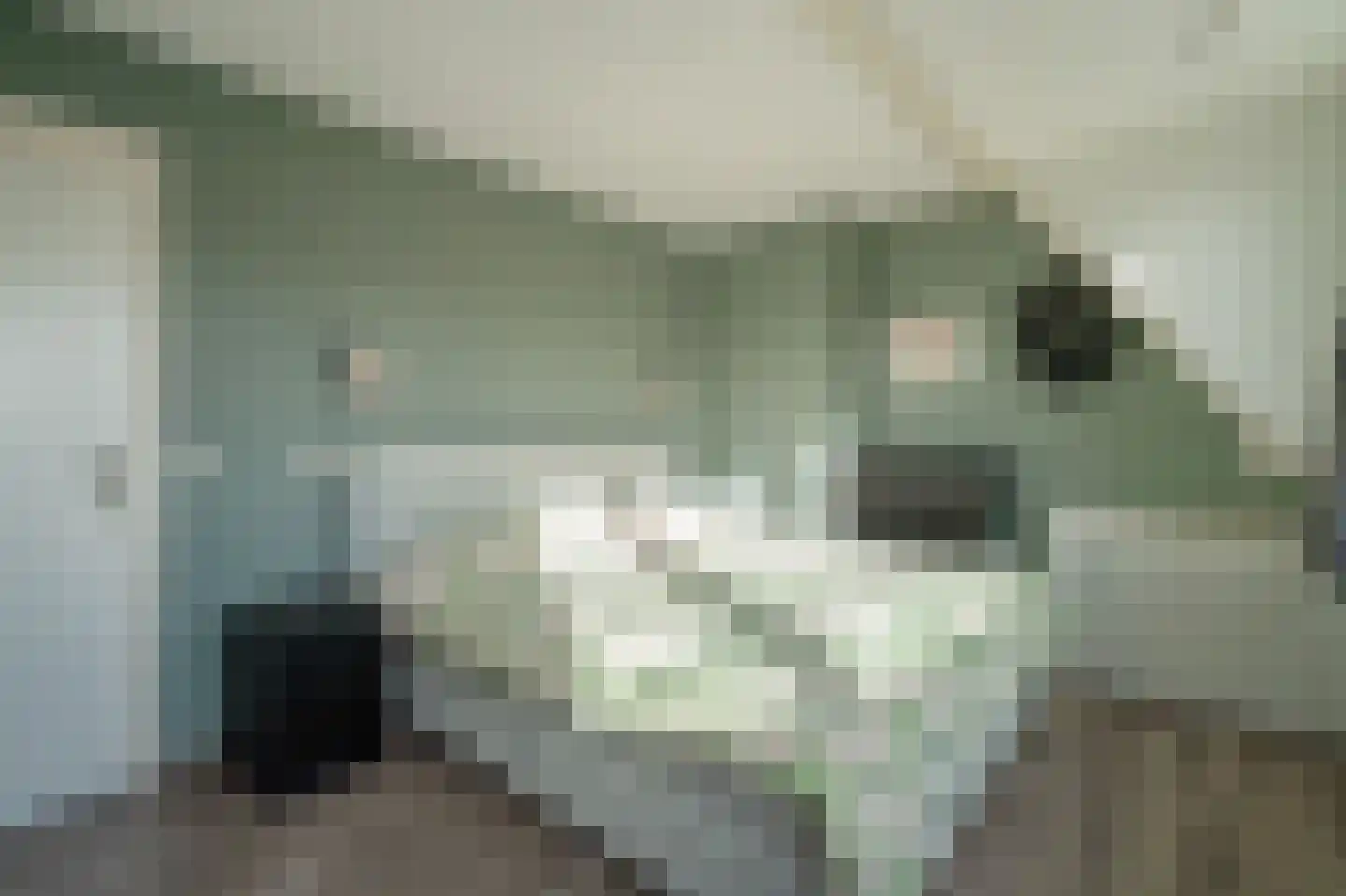 Hooikamp 62 Leidschendam thumbnail 35